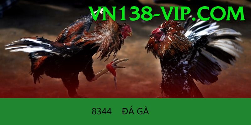 Trường Đấu Đá Gà Chuyên Nghiệp - Game kinh dị