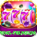 nn11 Gaming Premium